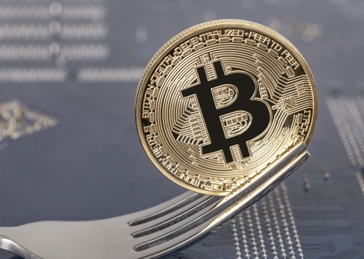 What is Hard Fork in Cryptocurrency?